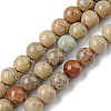 Natural Aqua Terra Jasper Beads Strands G-E444-14B-12mm-1