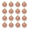 Golden Plated Alloy Enamel Charms LS-ENAM-S118-07Y-2