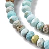Natural Howlite Beads Strands G-H025-03C-09-4