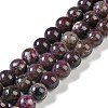 Natural Plum Blossom Tourmaline Beads Strands G-K364-B01-03-1