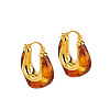 Brass Resin Hoop Earrings FS-WG9E07E-01-2