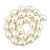 Teardrop Shell Pearl Beads Strands BSHE-XCP0001-12-2