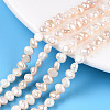 Natural Cultured Freshwater Pearl Beads Strands X-PEAR-N014-04D-01-1