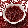 Spray Painted Glass Seed Beads SEED-F005-11A-04-2