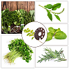 Wood Grass Scraper AJEW-WH0518-68A-6