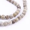 Natural Silver Leaf Jasper Beads Strands G-G683-08-6mm-1