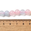 Dyed Natural Malaysia Jade Beads Strands G-G021-02B-24-3