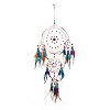 Iron Woven Web/Net with Feather Pendant Decorations AJEW-B016-05-2