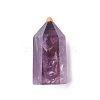 Natural Amethyst Tower Home Display Decoration DJEW-G036-02-2