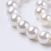 Shell Pearl Beads Strands BSHE-L035-8mm-I13-1