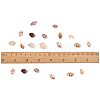 Natural Spiral Shell Beads SSHEL-PH0002-03-3