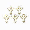 Alloy Charms PALLOY-Q441-025Y-NR-1