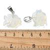 Opalite Pendants G-B127-16P-06-3