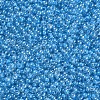 11/0 FGB Grade A Transparent Glass Seed Beads X-SEED-N001-F-256-2