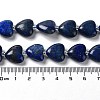 Natural Lapis Lazuli Beads Strands X-G-E614-A05-01-4