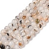 Natural Dendritic Agate Beads Strands G-A248-A07-01-2