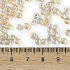 Transparent Inside Colours Glass Seed Beads SEED-A032-04V-4