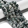 Natural Tree Agate Beads Strands G-NH0035-01-2