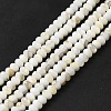 Natural Freshwater Shell Beads Strands BSHE-E026-15A-01-1