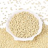 8/0 Baking Paint Glass Round Seed Beads SEED-S036-01B-19-2