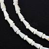 Natural Freshwater Shell Beads Strands SHEL-G013-02D-3