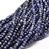 Natural Sodalite Round Bead Strands G-P072-27-10mm-1