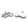 Tibetan Style Alloy Pendants TIBE-N006-24AS-LF-2