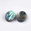 Abalone Shell/Paua Shell Beads X-SSHEL-T008-04-2