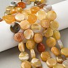 Natural Yellow Botswana Agate Beads Strands G-F790-H04-04-1