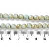 Natural Rainbow Alashan Agate Beads Strands G-NH0022-A01-01-5