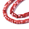 Natural Trochus Shell Beads Strands SHEL-S278-027D-3