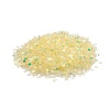 Plastic Sequins Beads PVC-R024-06C-2