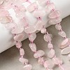 Natural Rose Quartz Beads Strands G-L649-D04-02-1
