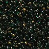 Spray Painted Glass Seed Beads SEED-F005-10A-02-3