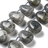 Natural Labradorite Beads Strands G-P528-E10-01-1