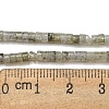 Natural Labradorite Beads Strands G-C084-D13-02-5