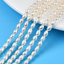 Natural Cultured Freshwater Pearl Beads Strands PEAR-N012-04D