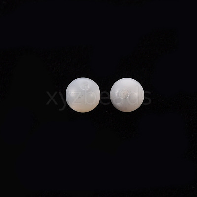 Natural Trochid Shell/Trochus Shell Beads SSHEL-T014-29D-1