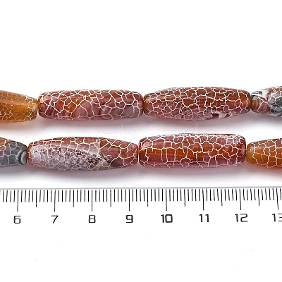 Natural Weathered Agate Beads Strands G-P570-C03-01-1