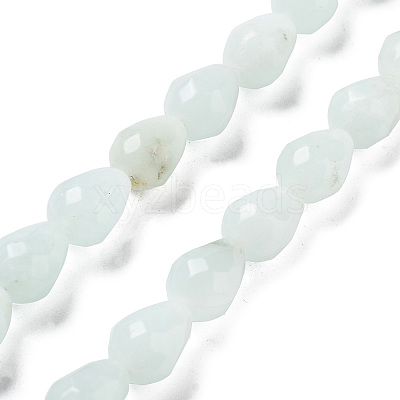 Natural Amazonite Beads Strands G-P520-B10-01-1
