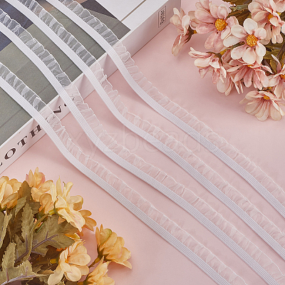 Nylon Chiffon Elastic Lace Trim OCOR-WH0082-159D-1