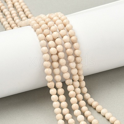Natural Fossil Beads Strands X-G-K209-05D-4mm-1