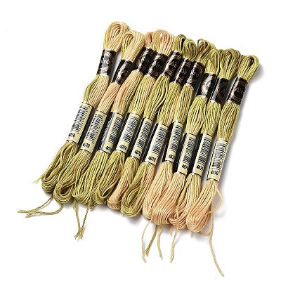 10 Skeins 6-Ply Polyester Embroidery Floss OCOR-K006-A20-1