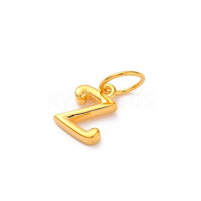 925 Sterling Silver Letter Charms with Jump Rings LS-STER-R008-01G-Z-1