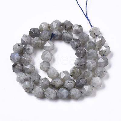 Natural Labradorite Beads Strands G-R465-33B-1