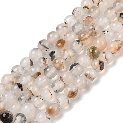 Natural Dendritic Agate Beads Strands G-A248-A07-01-1