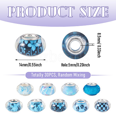 30Pcs Printed Transparent Resin European Beads RESI-TADJ0001-03F-1