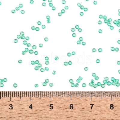 TOHO 11/0 Round Beads X-SEED-TR11-0164B-1