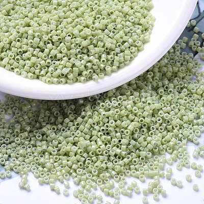 MIYUKI Delica Beads X-SEED-J020-DB2123-1