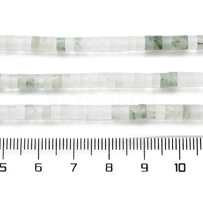 Natural Tianshan Cui Quartzite Beads Strands G-H230-65-1